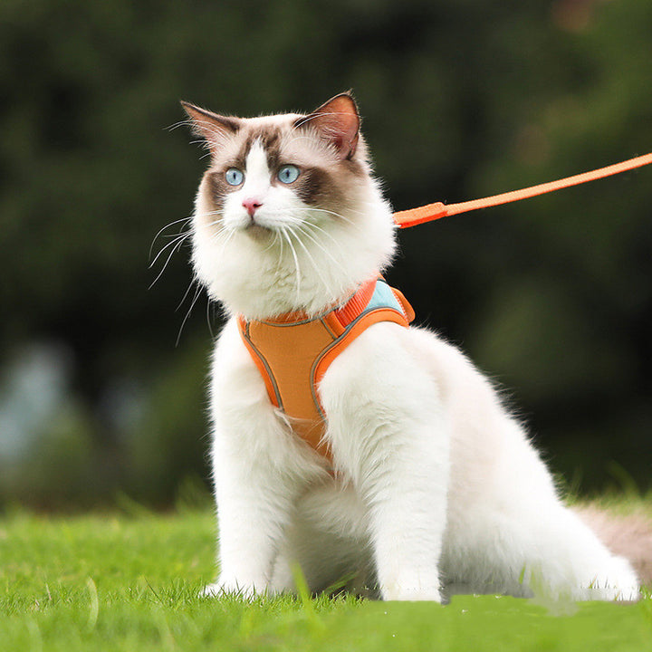 Pet Harness Leash Reflective Anti Escape Walking Set