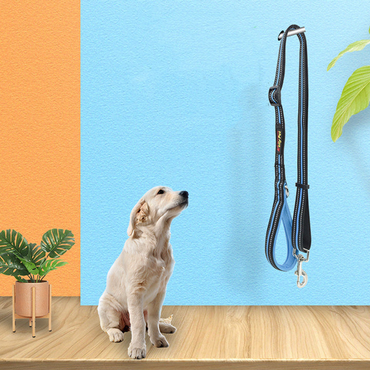 Pet Nylon Retractable Assisted Walking Leash