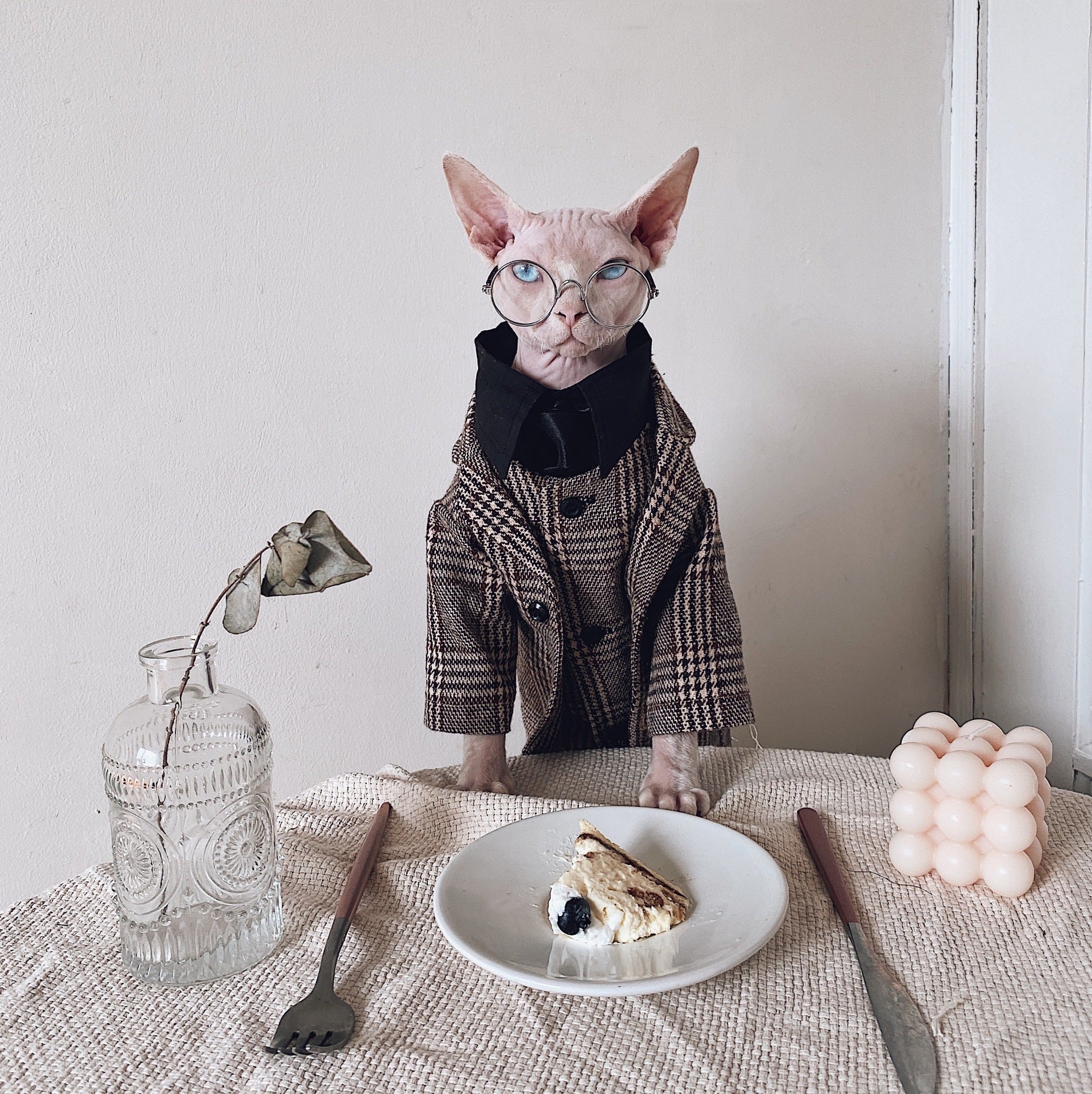 Pet Warm Suit Shirt Outfit Clothing Apparel