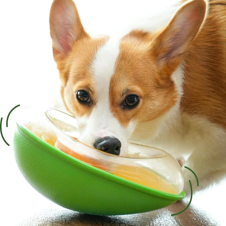 Pet Anti-Tumble Avocado Feeding Bowl Stable Food Dish