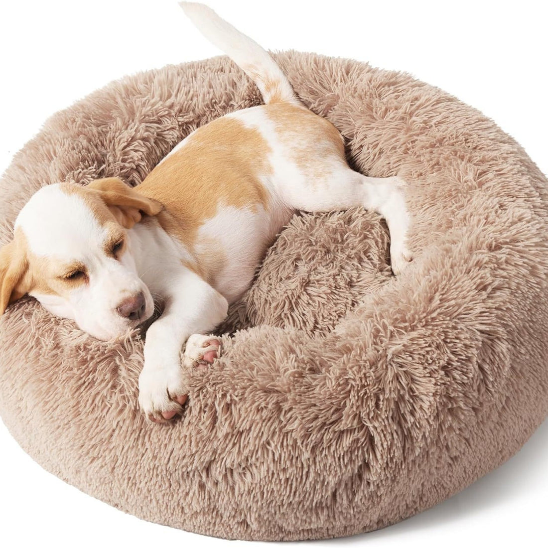 Pet Solid Color Non Slip Round Fluffy Plush Bed