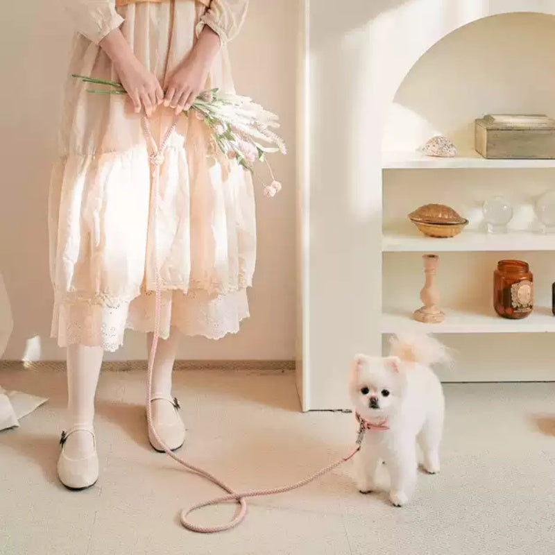 Pet Leather Collar Handheld Rope Walking Leash Set