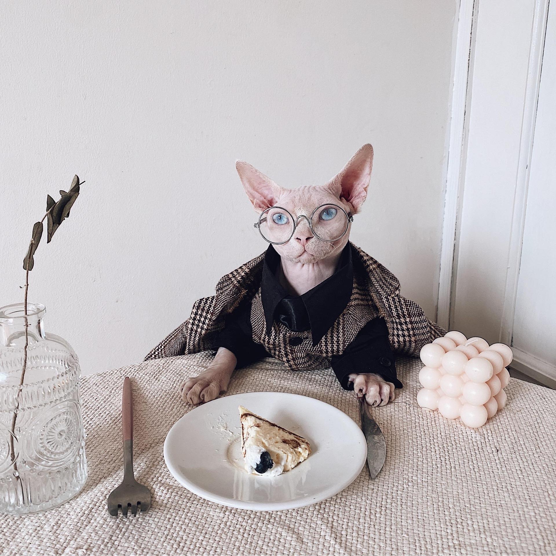 Pet Warm Suit Shirt Outfit Clothing Apparel