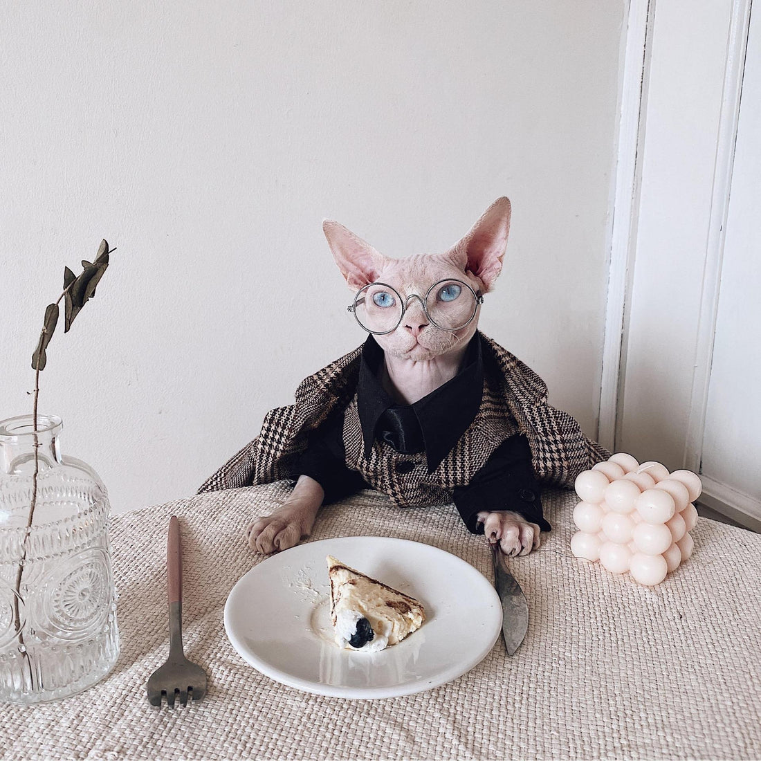 Pet Warm Suit Shirt Outfit Clothing Apparel