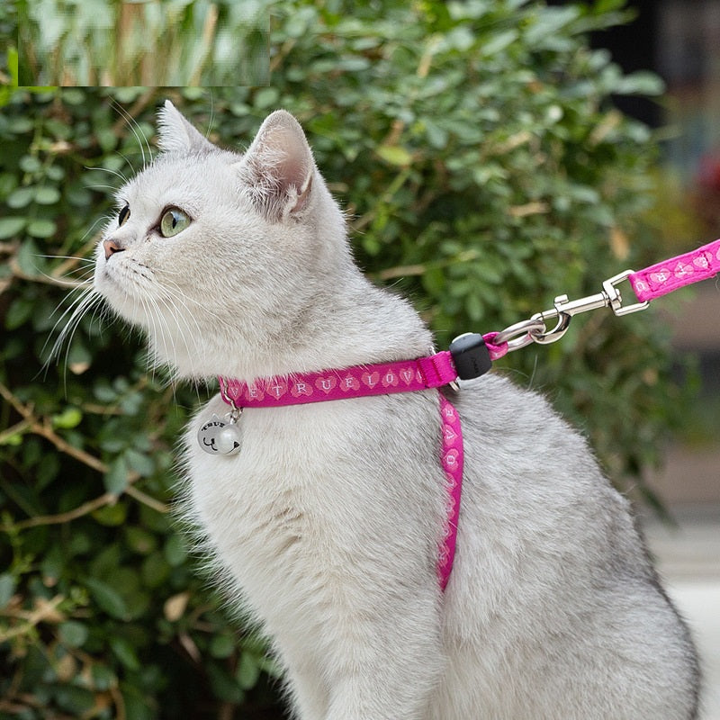 Pet Bell Chest Strap Vest Haulage Rope Leash