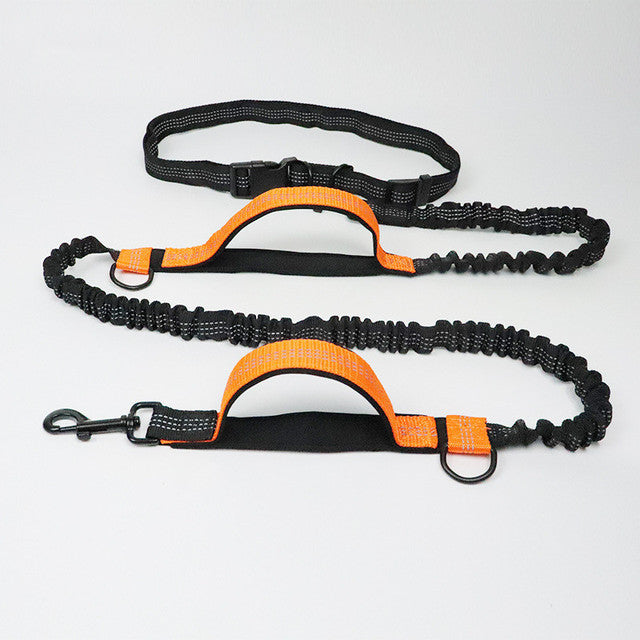 Pet Adjustable Harness Jogging Walking Leash