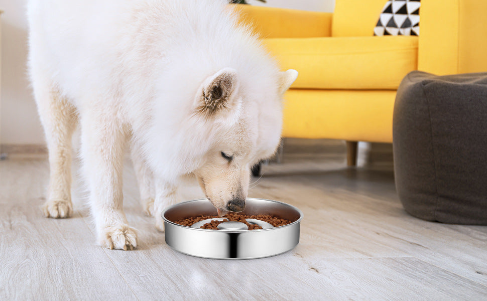 Pet Stainless Steel Slow Feeding Neck Protector Bowl