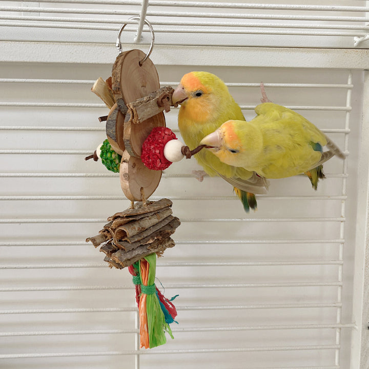 Parrot Bite Toy String Colorful Cage Hanging Toy Pendant