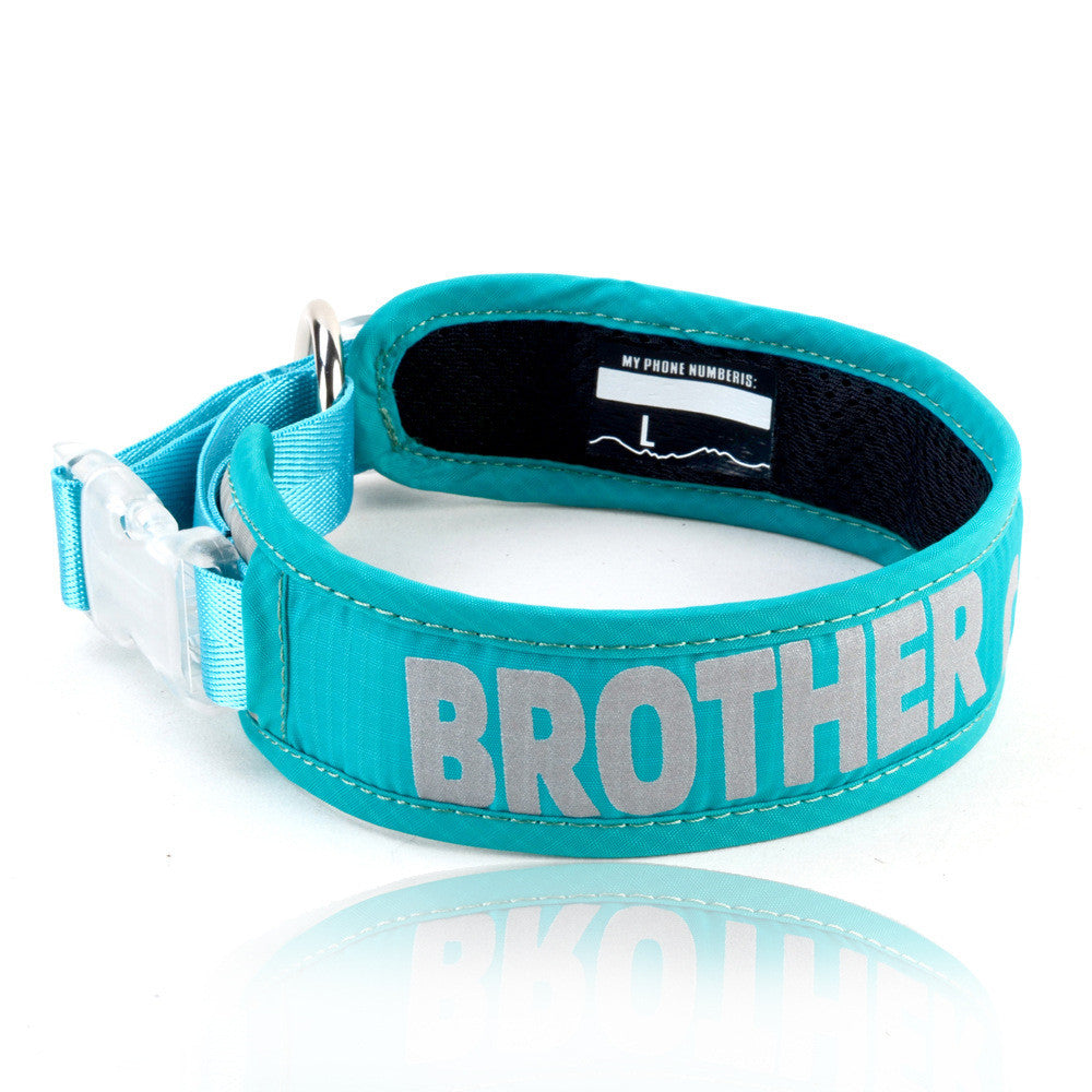 Pet Chest Strap Explosion Proof Storage Leash Bag