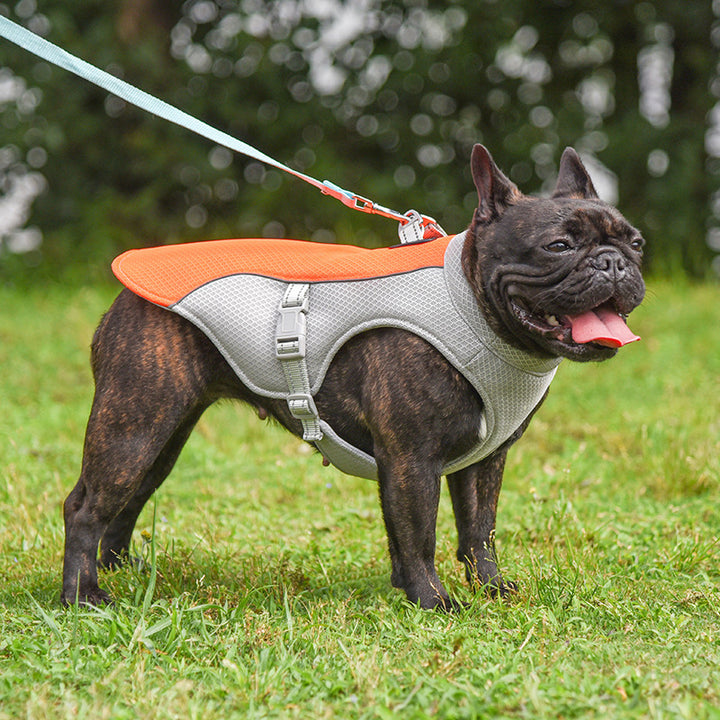 Pet Summer Outdoor Breathable Cooling Vest Apparel